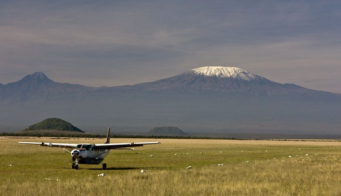 Safari - Kilimanjaro